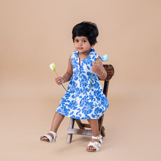 White Based Blue Floral Collared Frock