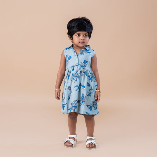 Light Blue Based Floral Collared Frock