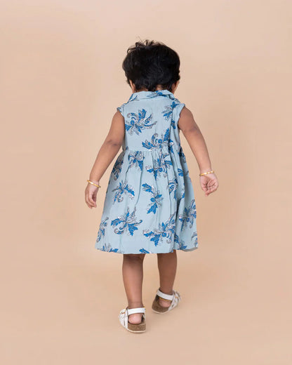 Light Blue Based Floral Collared Frock