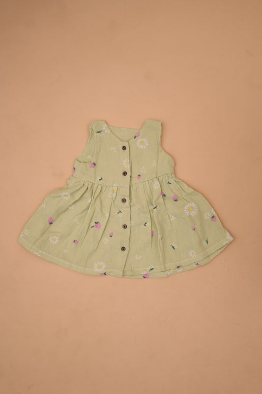 Strawberry Light Green Frock